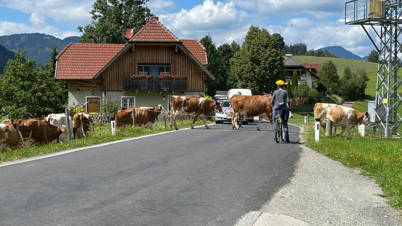 Biohof Koeck Tonibauer Villa Zeutschach Luaran gambar