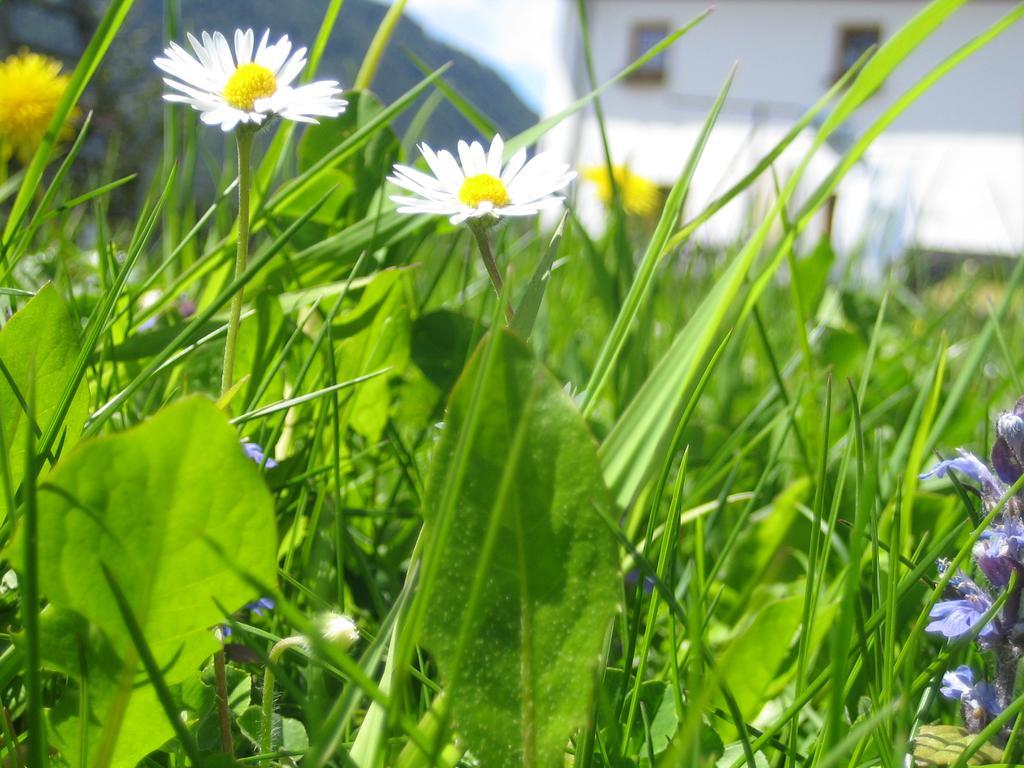 Biohof Koeck Tonibauer Villa Zeutschach Luaran gambar