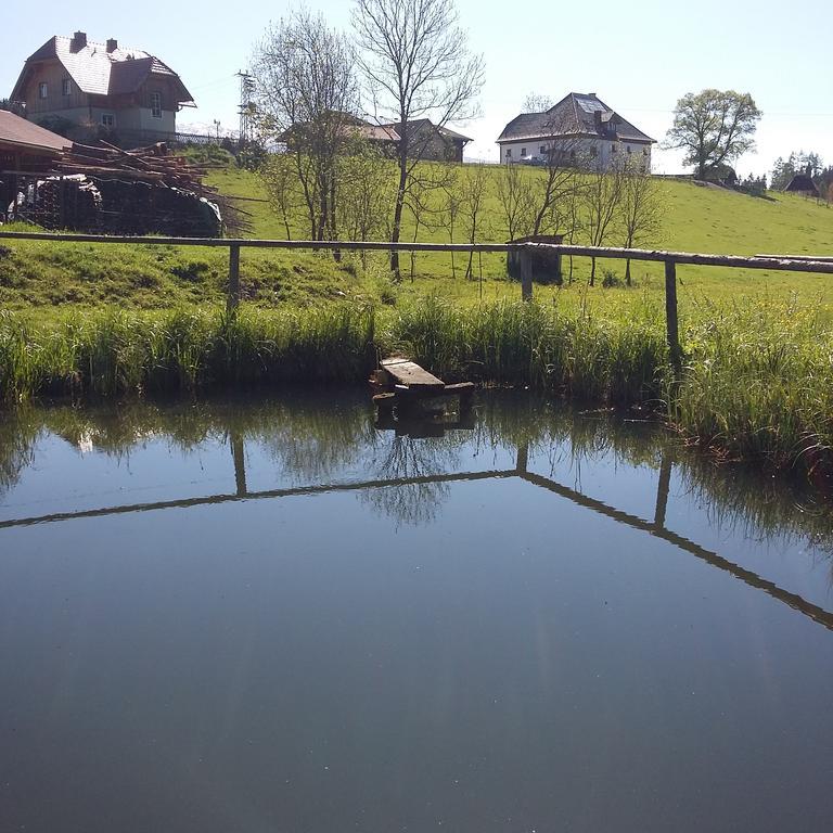 Biohof Koeck Tonibauer Villa Zeutschach Luaran gambar