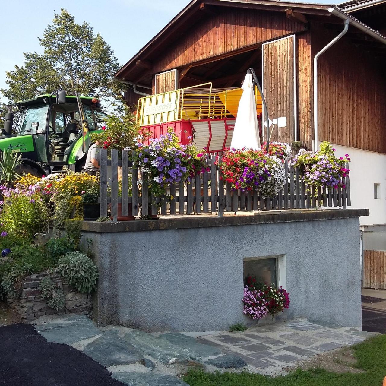 Biohof Koeck Tonibauer Villa Zeutschach Luaran gambar