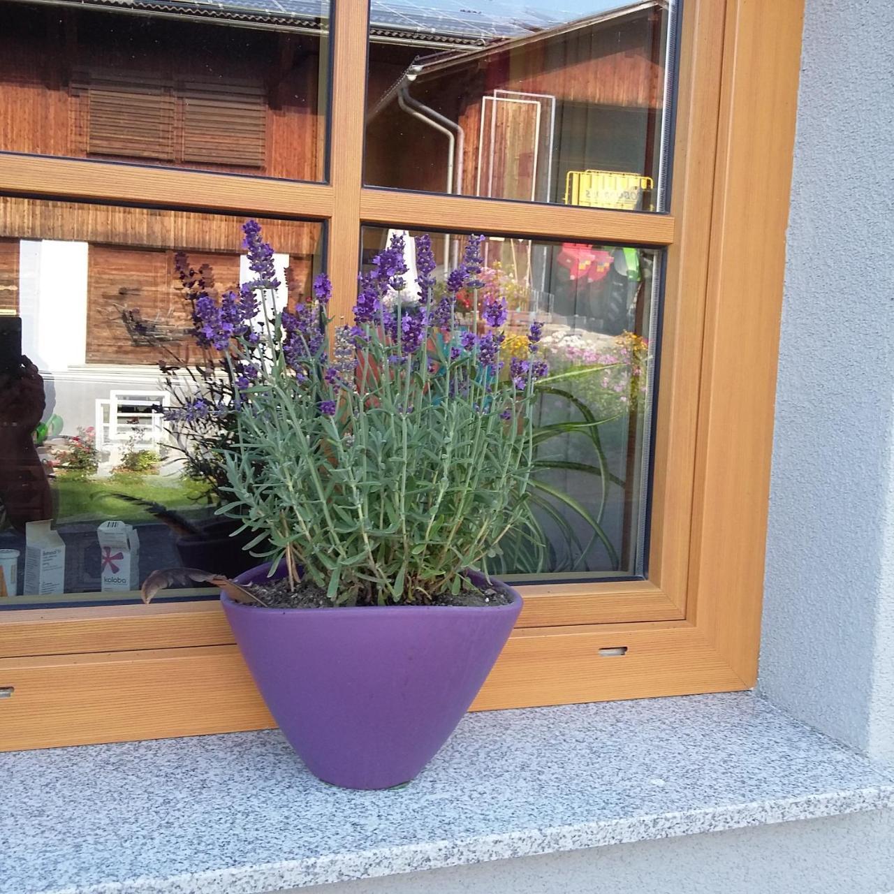 Biohof Koeck Tonibauer Villa Zeutschach Luaran gambar
